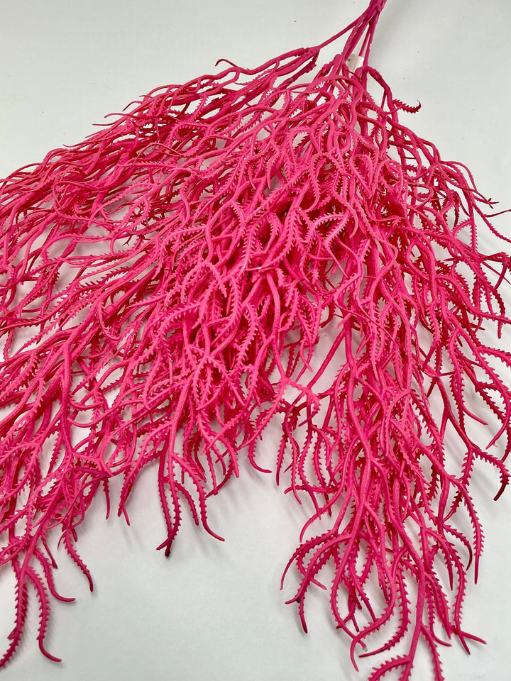 Cottonii seaweed bush - Pink - Greenery MarketGM57097PK