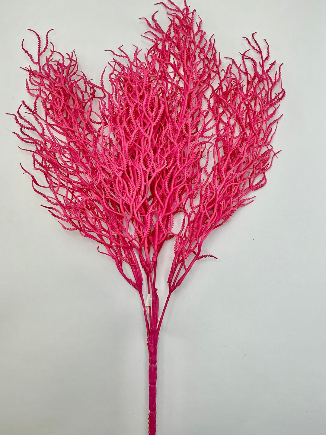 Cottonii seaweed bush - Pink - Greenery MarketGM57097PK