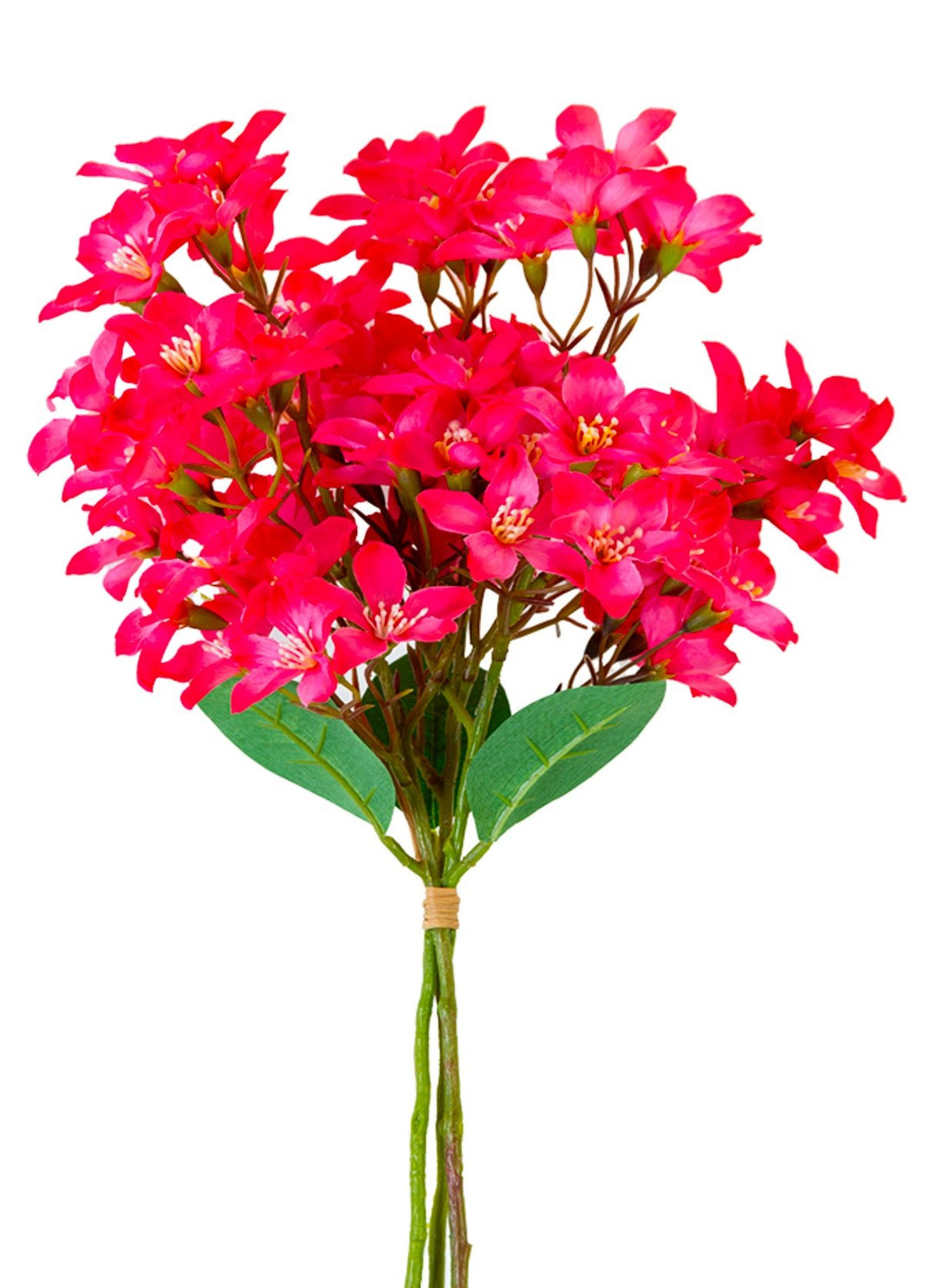 Crabapple bundle - hot pink - Greenery Market2285236HP