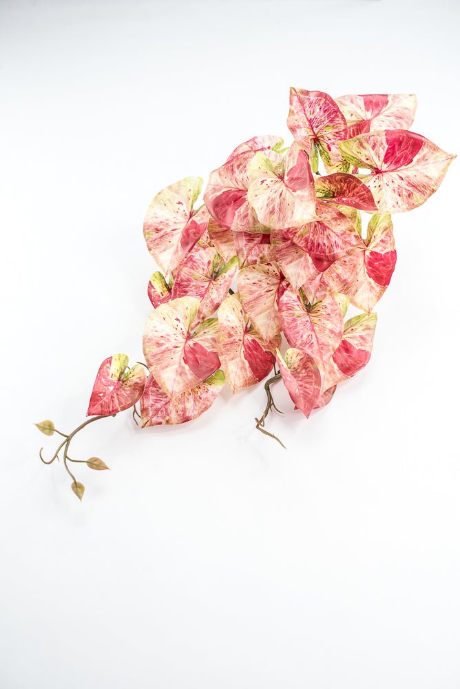 Cream And Red Real Touch Caladium Hanging Bush - Greenery Market241485
