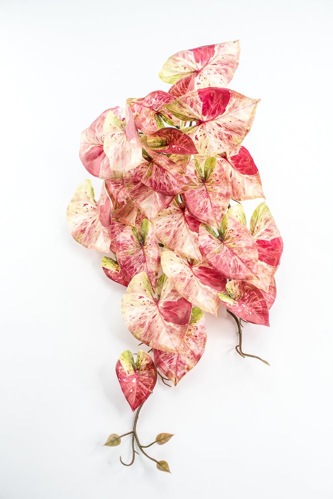 Cream And Red Real Touch Caladium Hanging Bush - Greenery Market241485