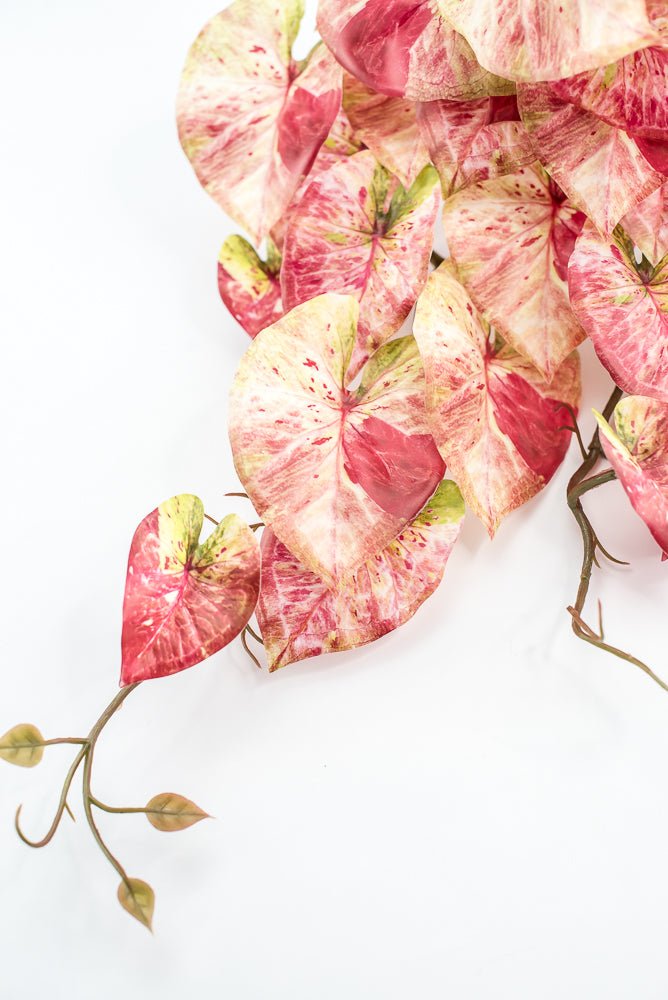 Cream And Red Real Touch Caladium Hanging Bush - Greenery Market241485