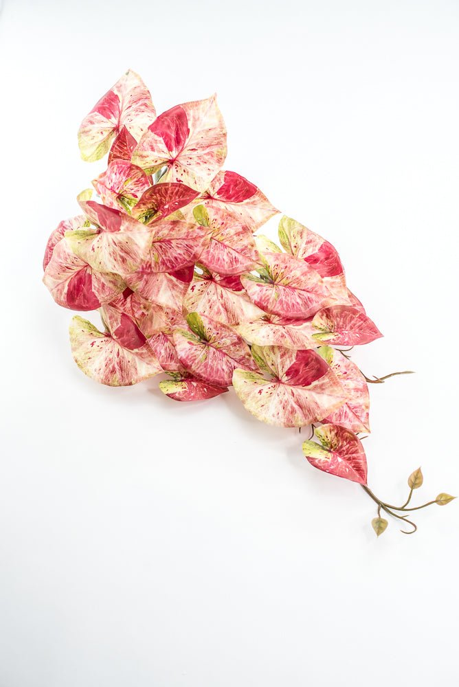 Cream And Red Real Touch Caladium Hanging Bush - Greenery Market241485