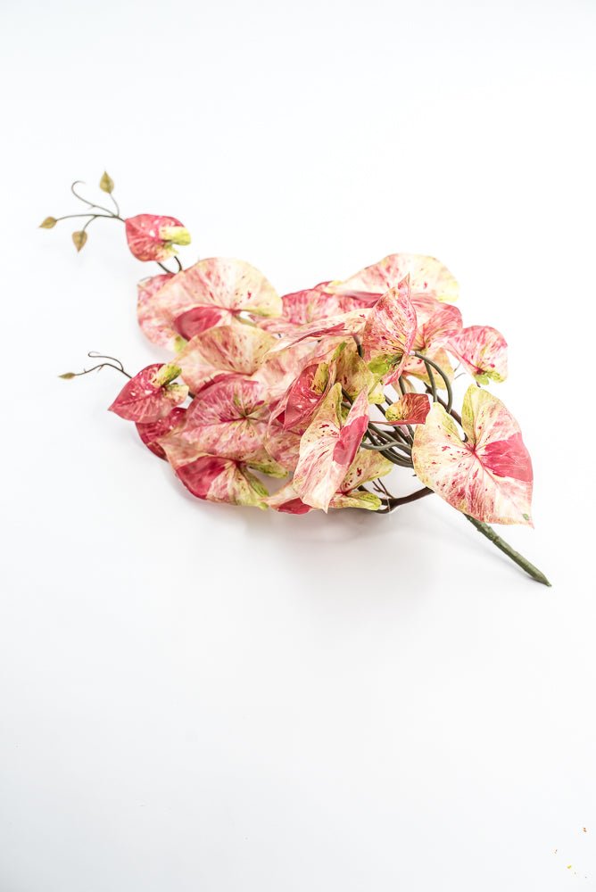 Cream And Red Real Touch Caladium Hanging Bush - Greenery Market241485