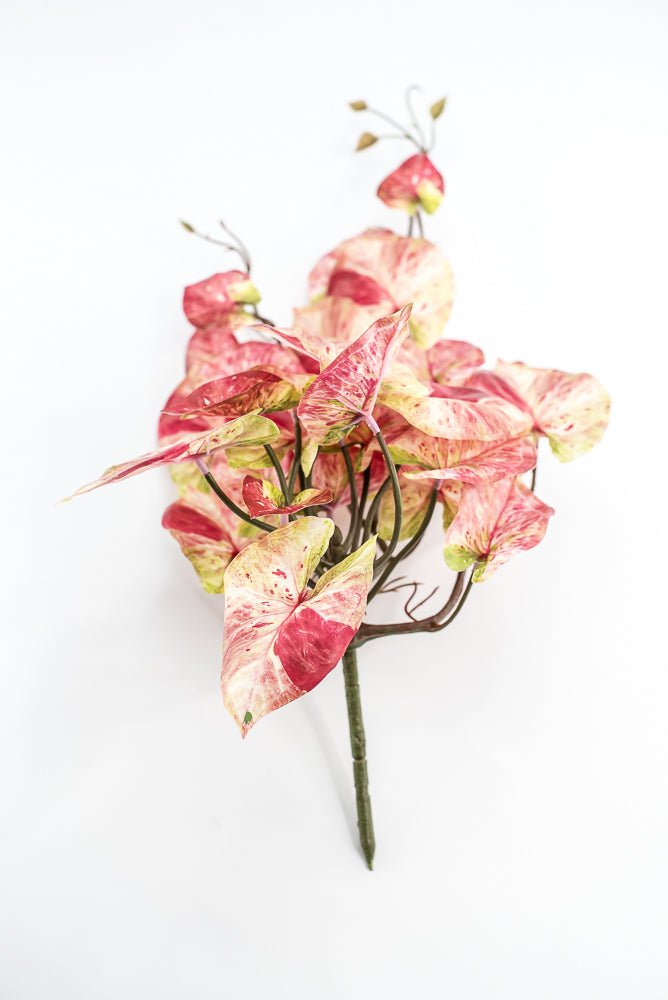 Cream And Red Real Touch Caladium Hanging Bush - Greenery Market241485