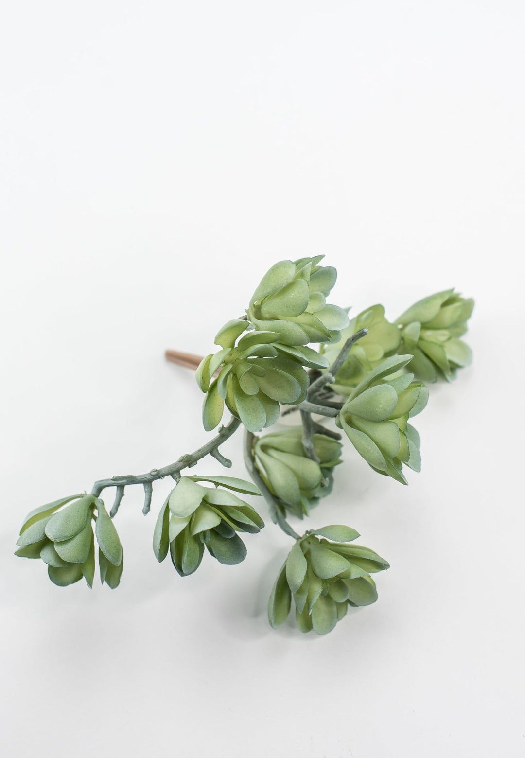 Creeping succulent plant - Greenery MarketArtificial SucculentsMTF24190 GYGR
