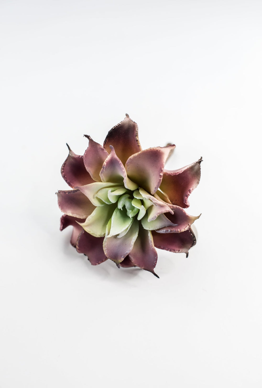 Dahlia succulent - Greenery MarketArtificial SucculentsMTF24206 pkgr
