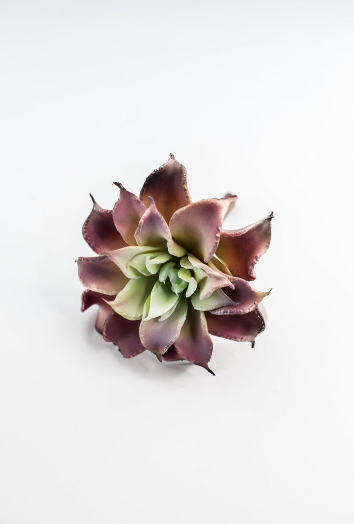 Dahlia succulent - Greenery MarketArtificial SucculentsMTF24206 pkgr