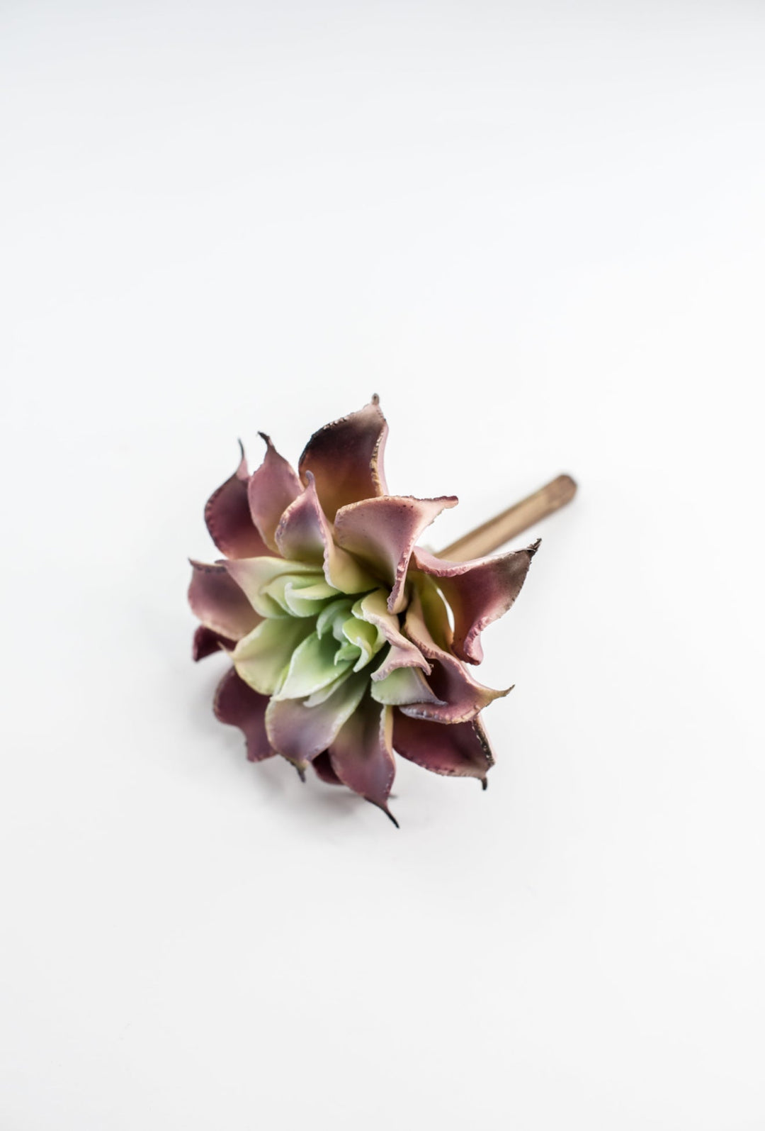 Dahlia succulent - Greenery MarketArtificial SucculentsMTF24206 pkgr