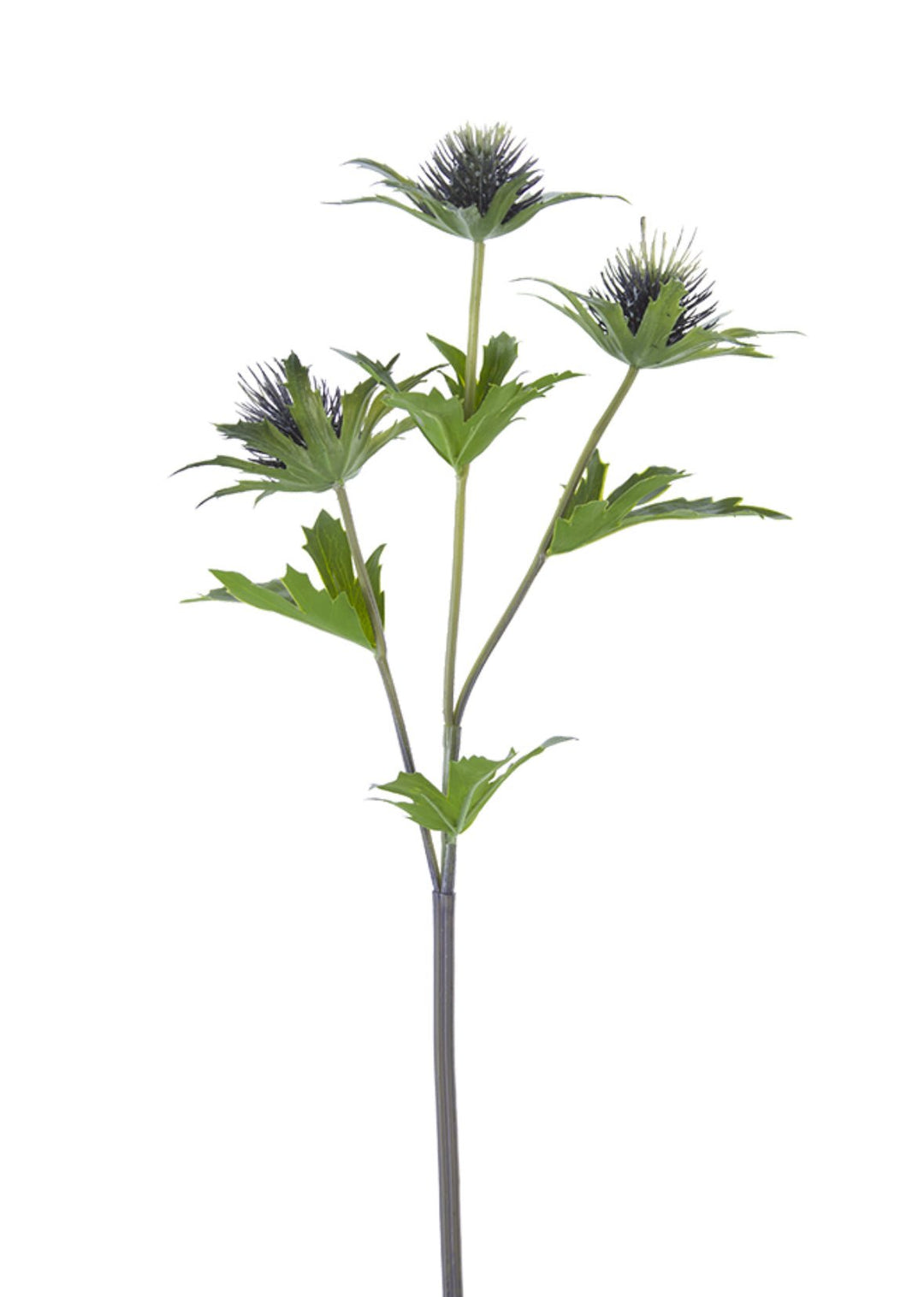 Dark blue thistle flower spray - Greenery Market2150064AQ