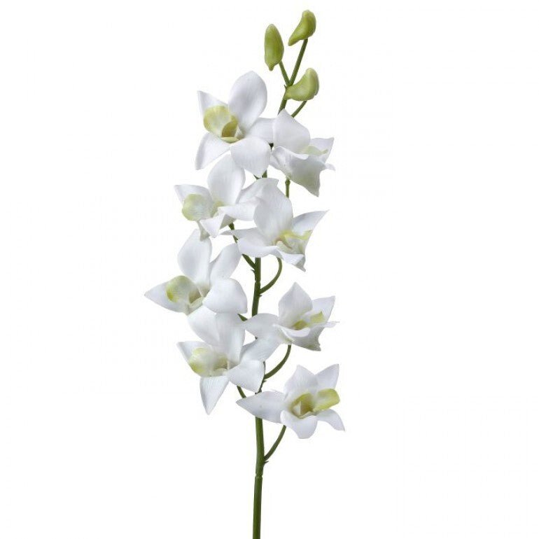 Dendrobium flower stem - white - Greenery MarketArtificial FloraMTF23897 WHT