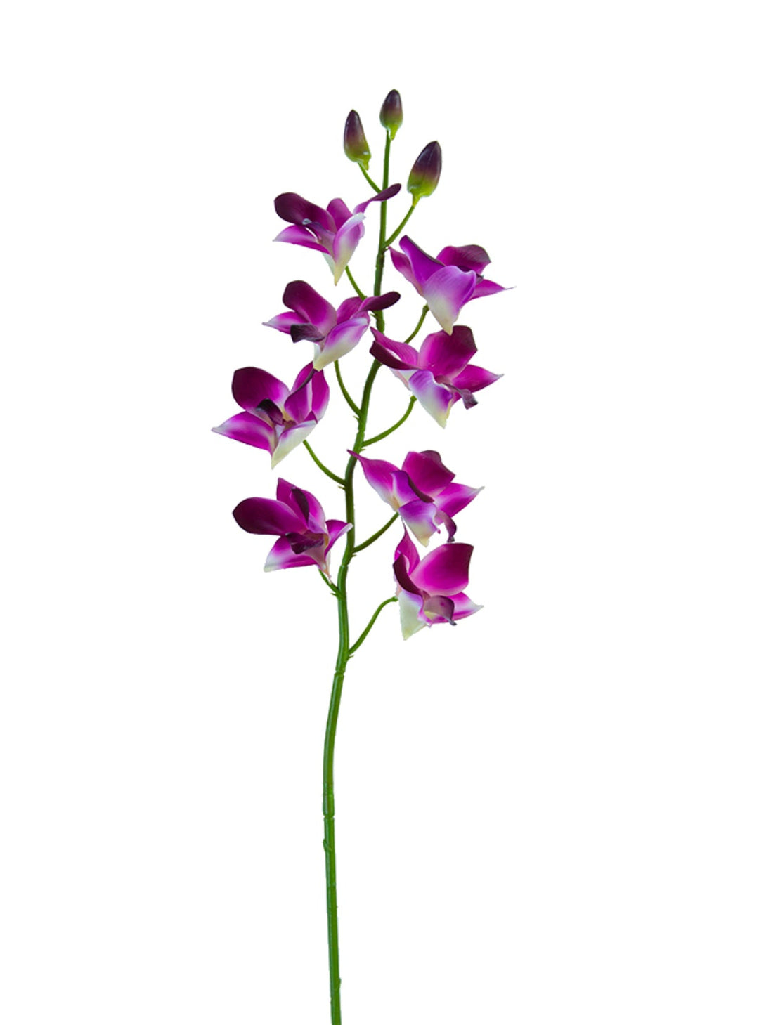 Dendrobium orchid Flower spray - purple - Greenery MarketArtificial Flora2230092PP