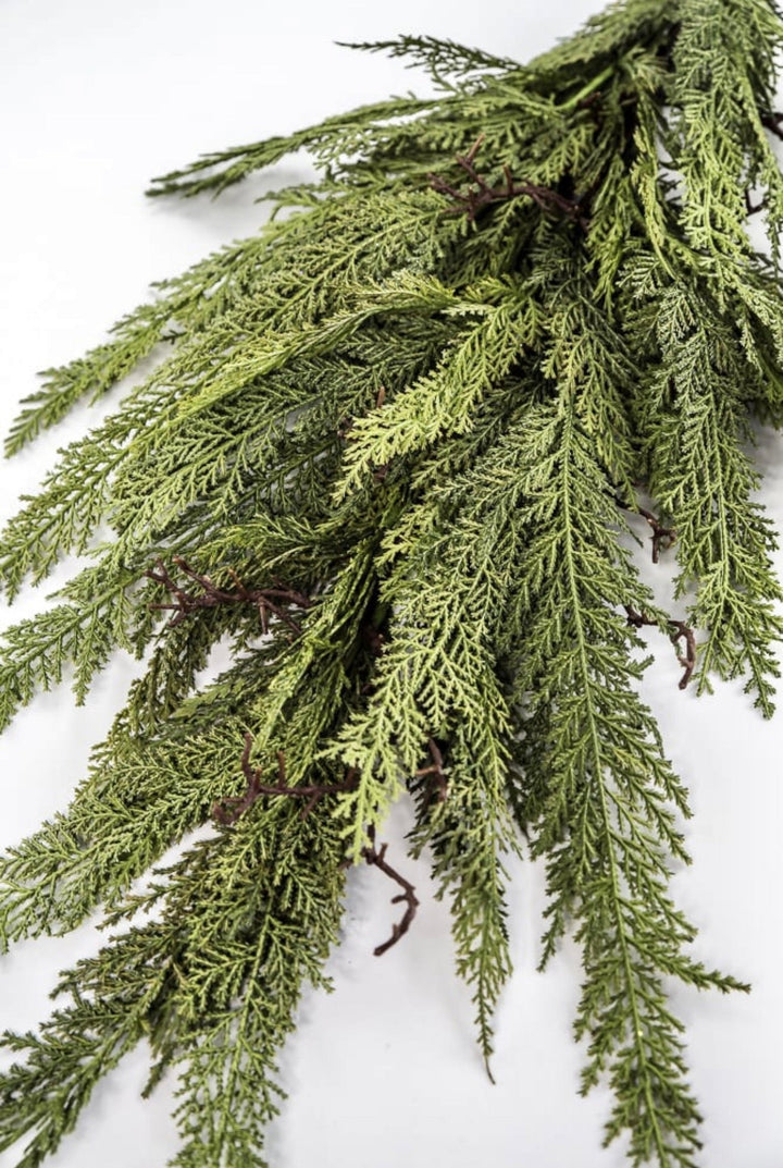 Dragon vine juniper 38” - Greenery Market27806