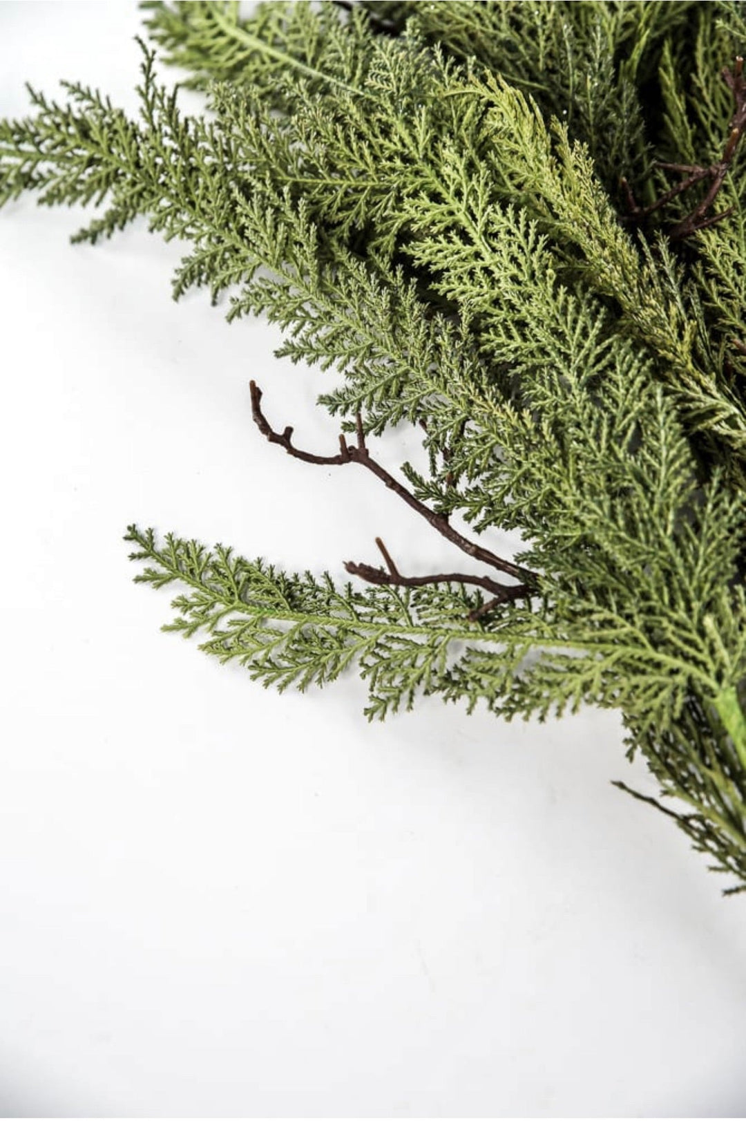 Dragon vine juniper 38” - Greenery Market27806