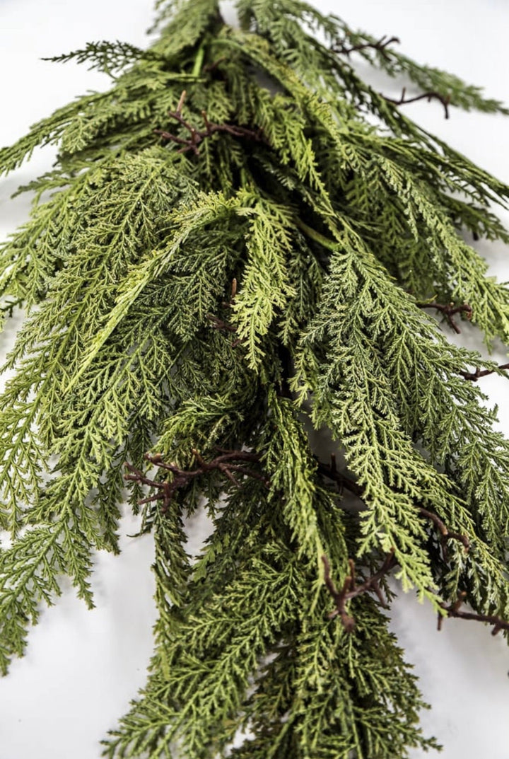 Dragon vine juniper 38” - Greenery Market27806