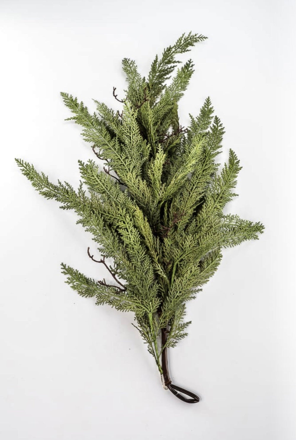 Dragon vine juniper 38” - Greenery Market27806