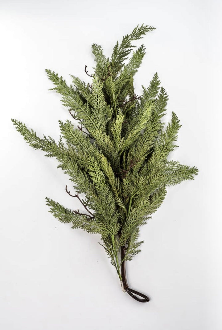 Dragon vine juniper 38” - Greenery Market27806