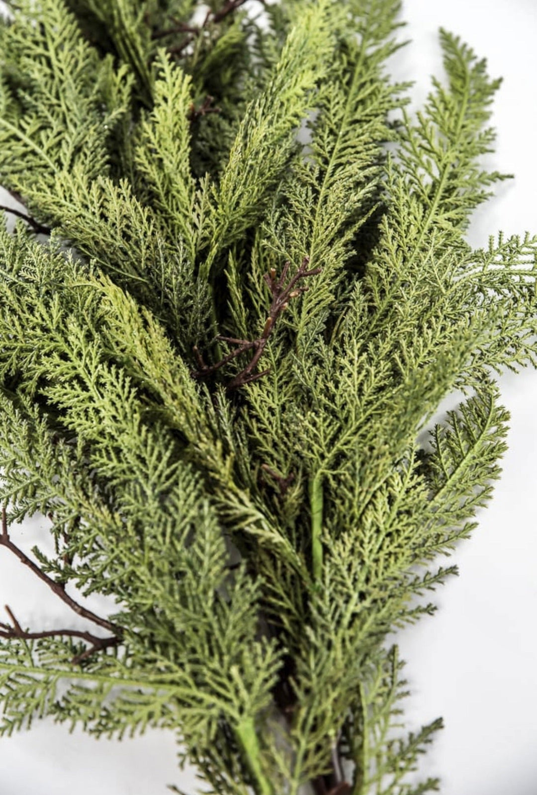Dragon vine juniper 38” - Greenery Market27806