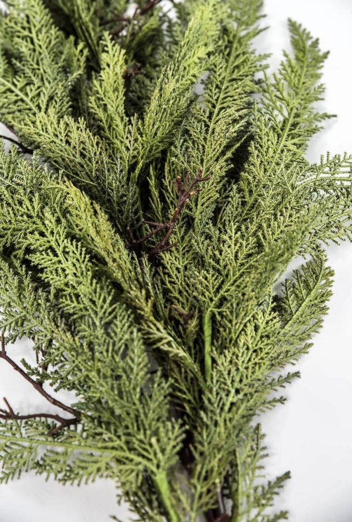 Dragon vine juniper 38” - Greenery Market27806