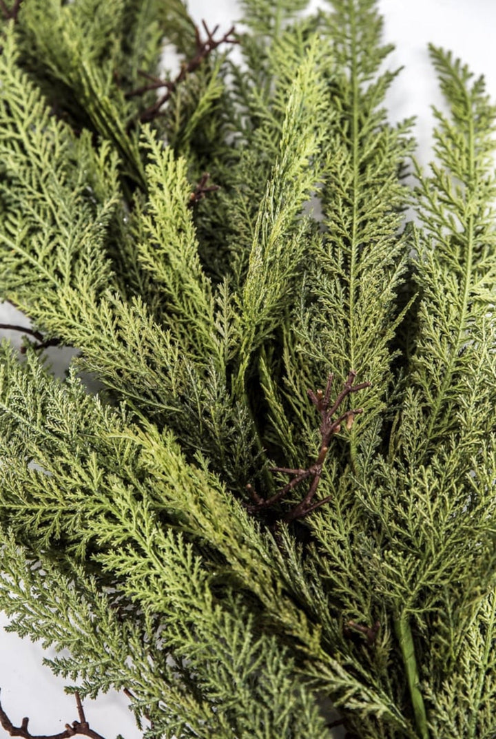 Dragon vine juniper 38” - Greenery Market27806