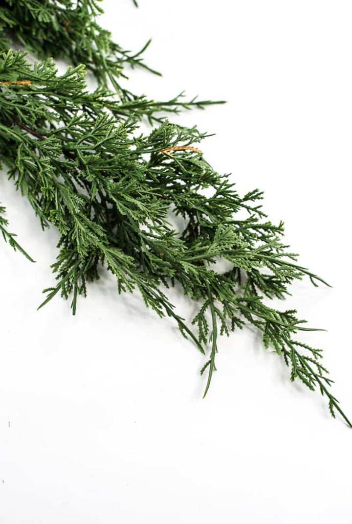 Draping cedar bush - Greenery MarketXVP9769