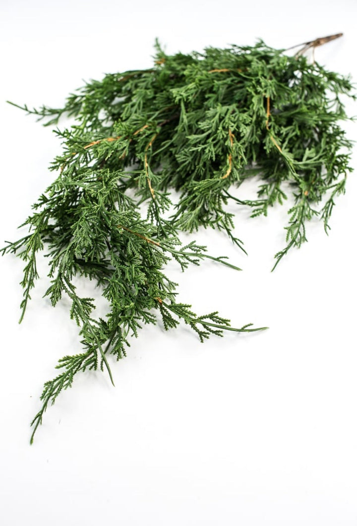 Draping cedar bush - Greenery MarketXVP9769
