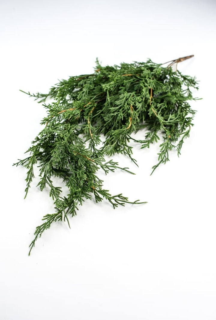 Draping cedar bush - Greenery MarketXVP9769