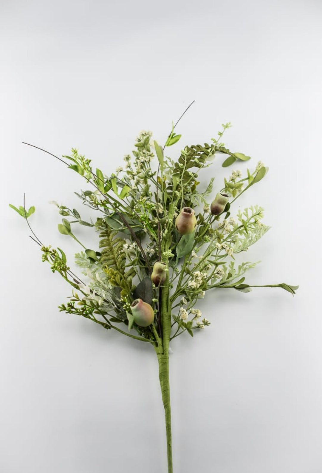 Dusty Miller mixed greenery with pods - Greenery Marketgreenery62281sp28