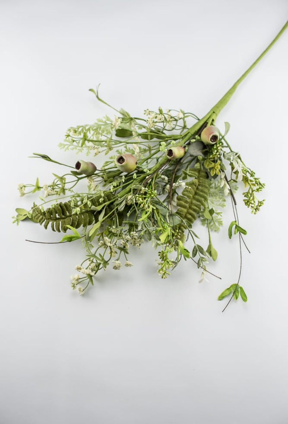 Dusty Miller mixed greenery with pods - Greenery Marketgreenery62281sp28