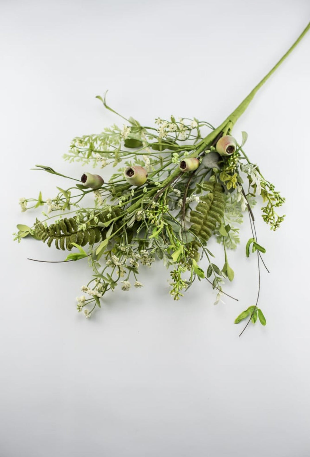 Dusty Miller mixed greenery with pods - Greenery Marketgreenery62281sp28