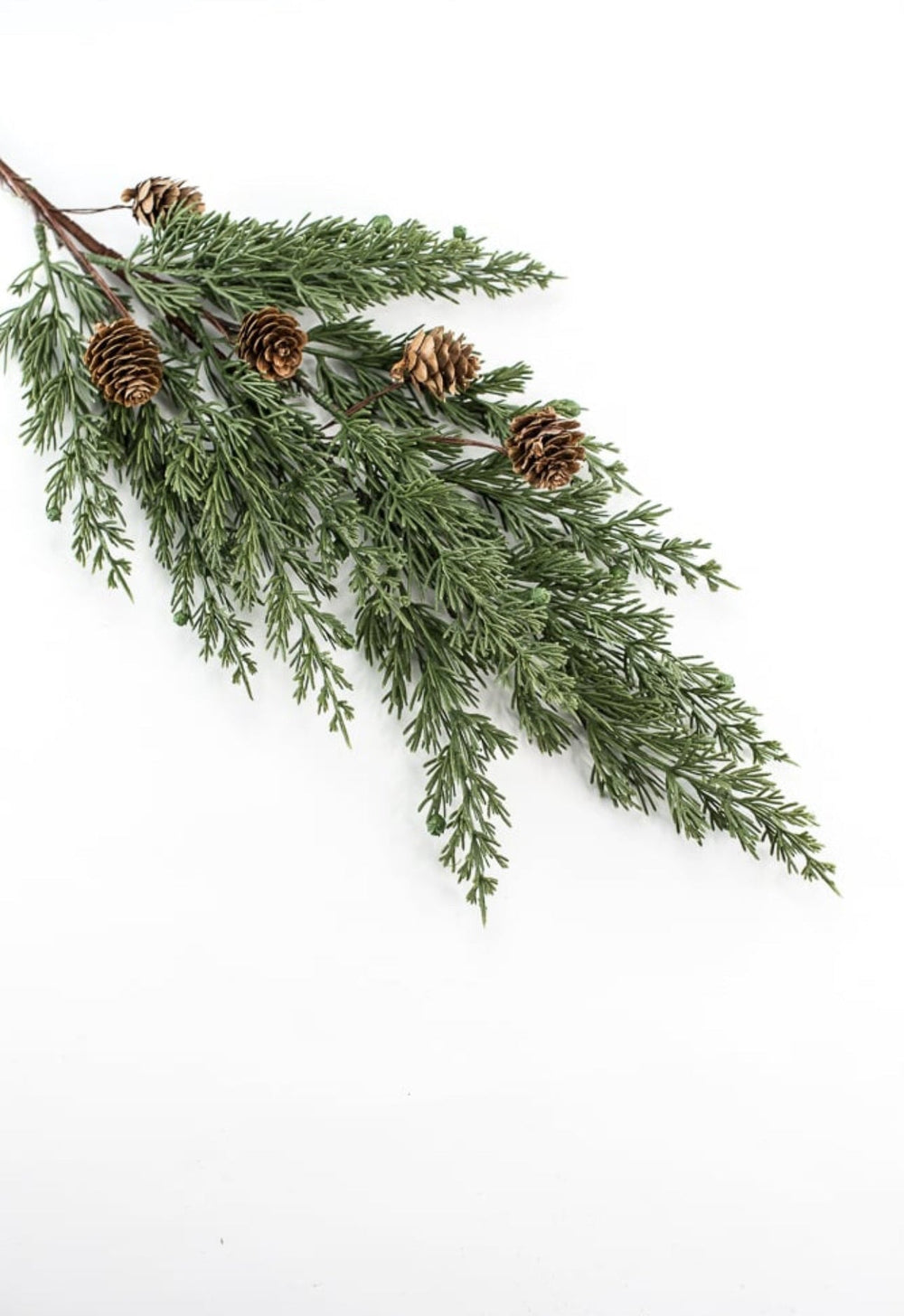 Eastern Cedar pine and cone spray - Greenery Marketgreenery84823SP28