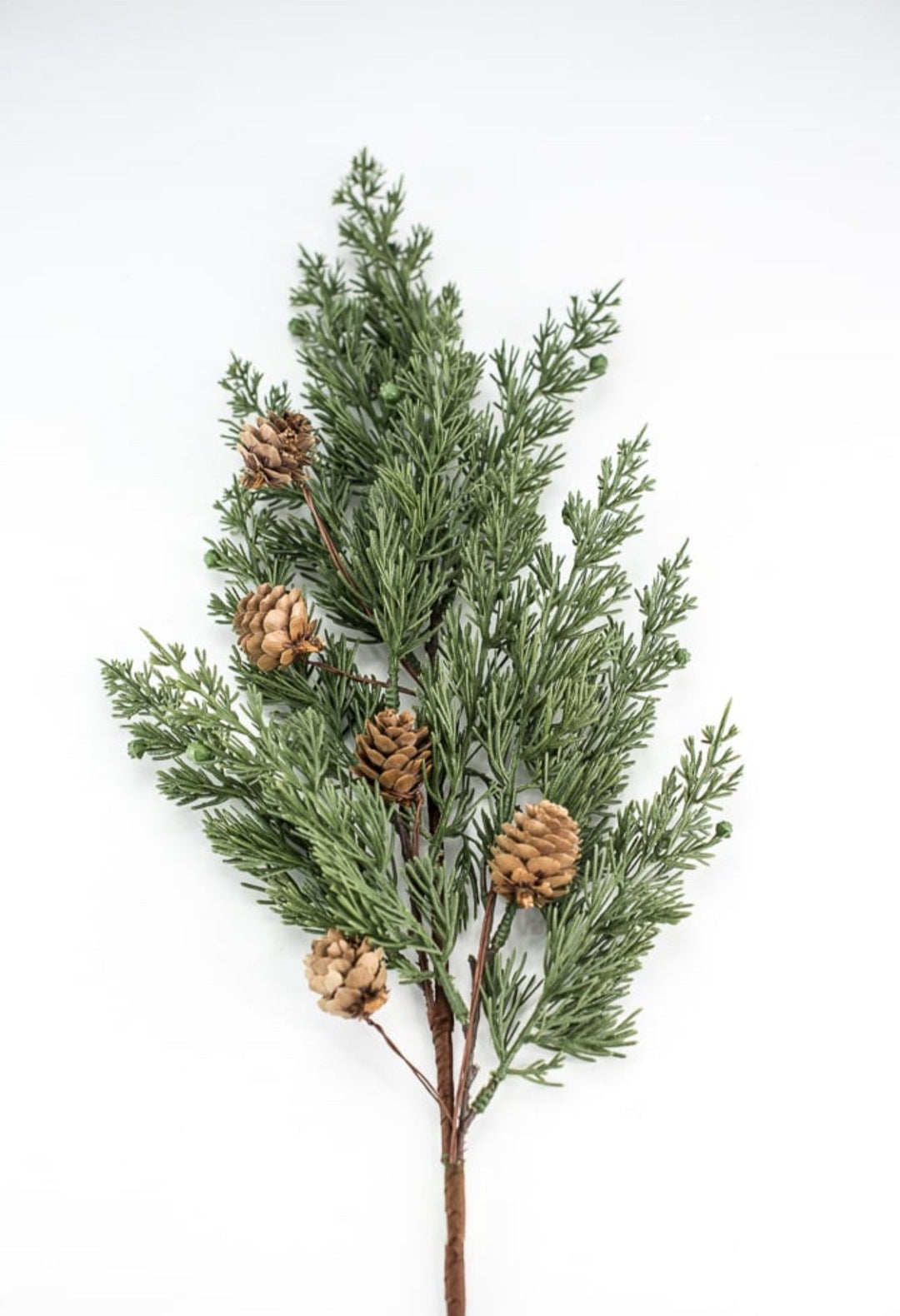 Eastern Cedar pine and cone spray - Greenery Marketgreenery84823SP28
