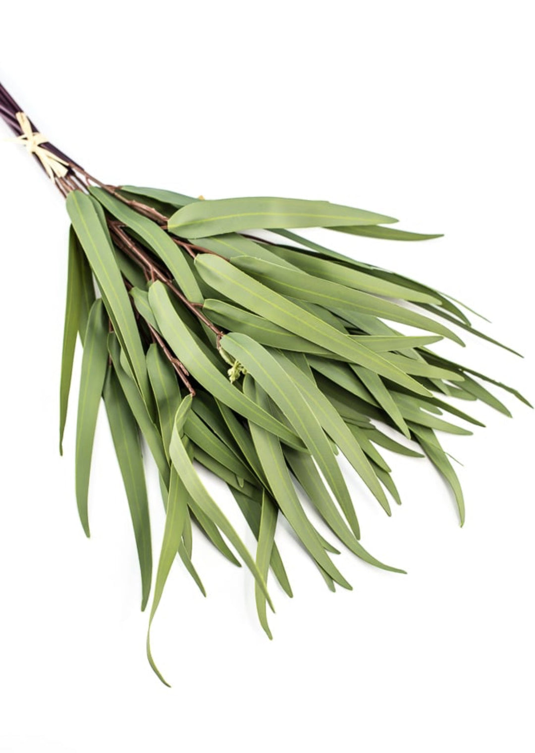 Eucalyptus bundle, green soft touch greenery - Greenery Marketgreenery147524