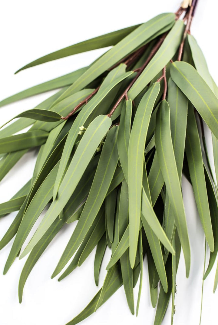 Eucalyptus bundle, green soft touch greenery - Greenery Marketgreenery147524