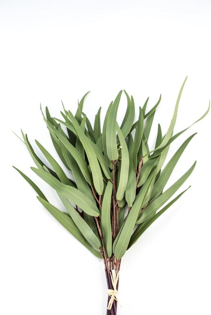 Eucalyptus bundle, green soft touch greenery - Greenery Marketgreenery147524