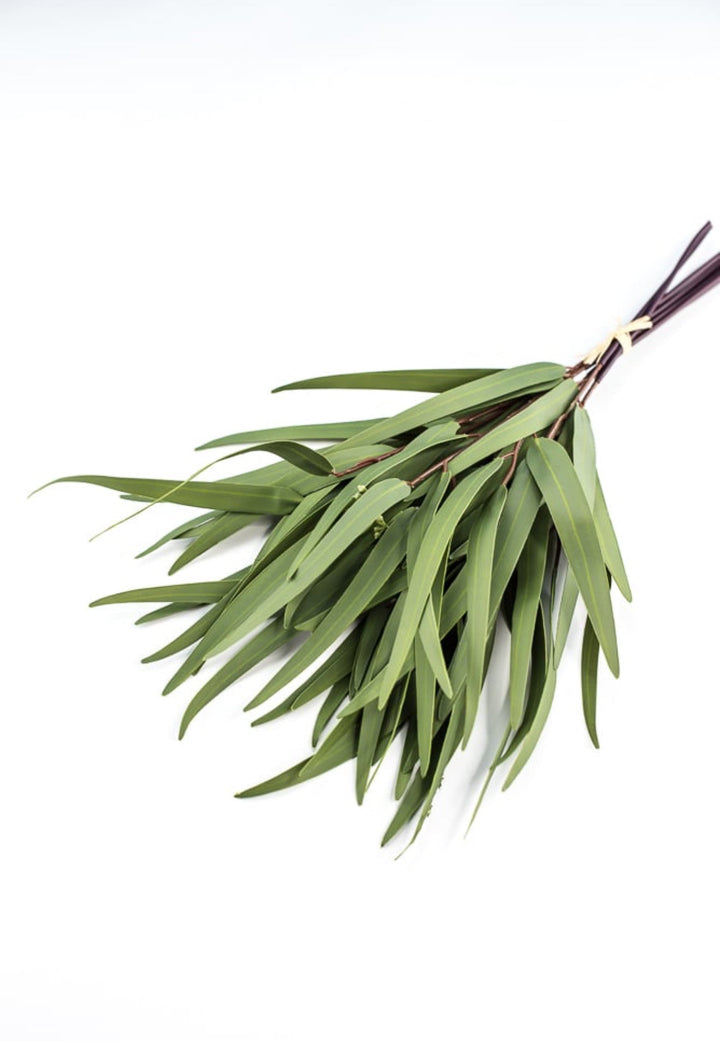 Eucalyptus bundle, green soft touch greenery - Greenery Marketgreenery147524