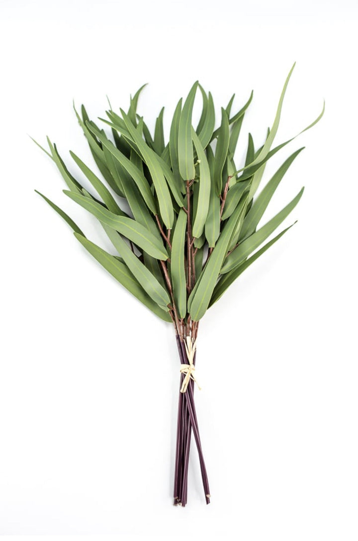 Eucalyptus bundle, green soft touch greenery - Greenery Marketgreenery147524