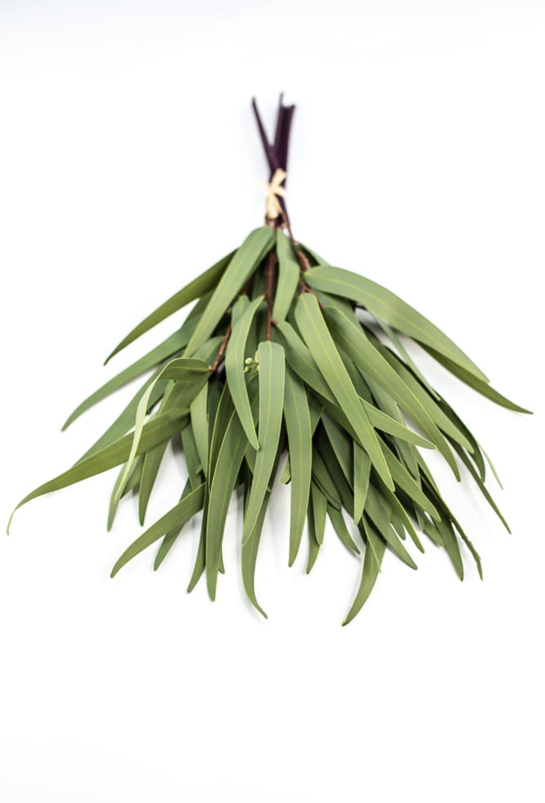 Eucalyptus bundle, green soft touch greenery - Greenery Marketgreenery147524