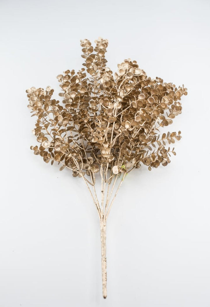 Eucalyptus bush - champagne - Greenery MarketSeasonal & Holiday Decorations85867CH