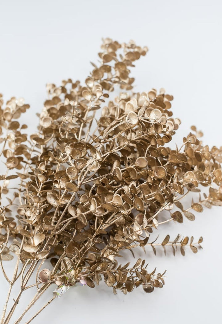 Eucalyptus bush - champagne - Greenery MarketSeasonal & Holiday Decorations85867CH