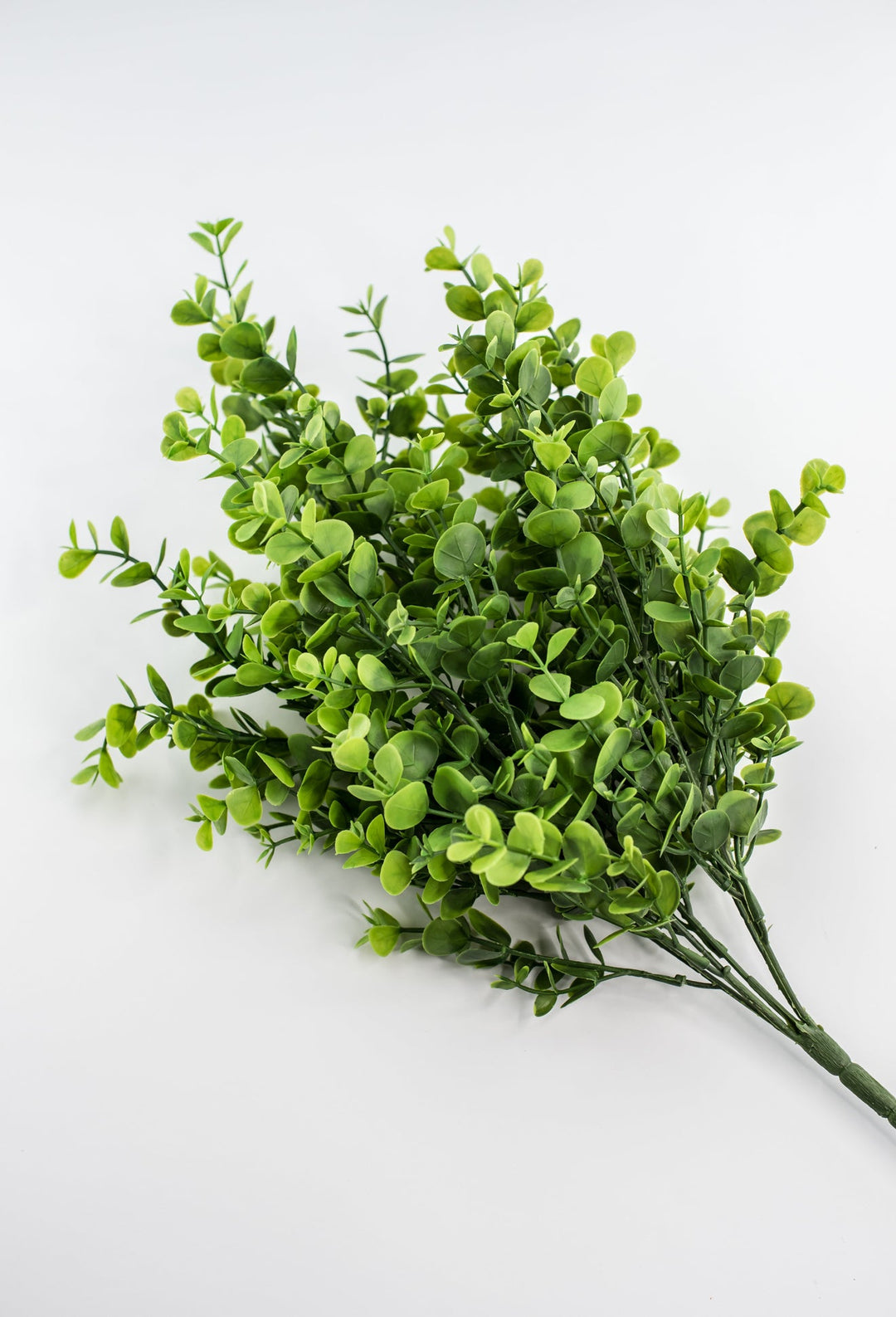 Eucalyptus bush - green - Greenery Market84816 - GN
