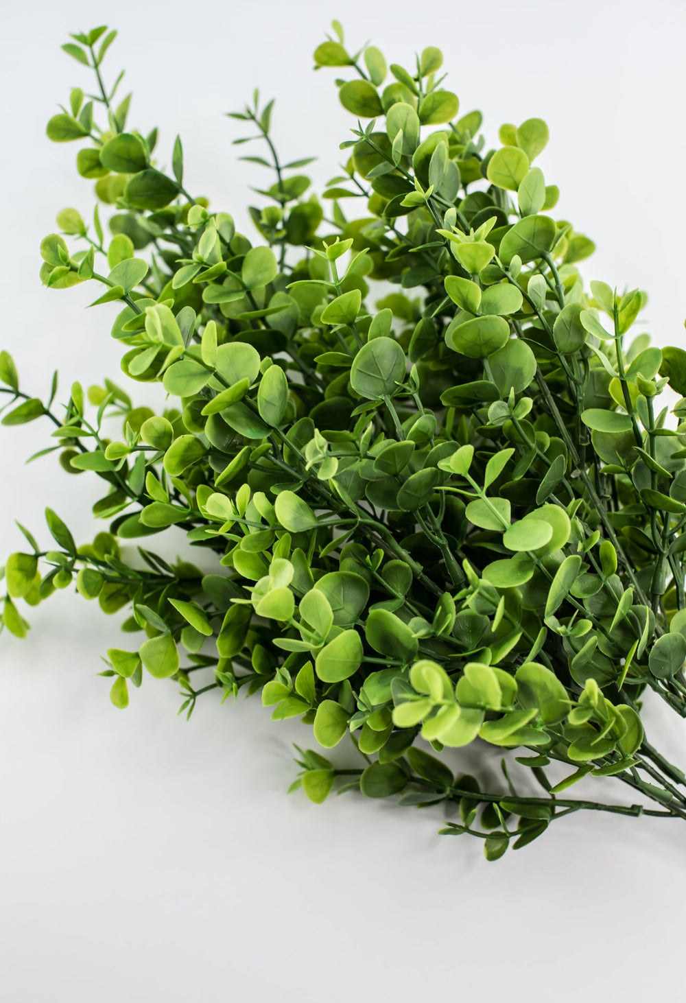 Eucalyptus bush - green - Greenery Market84816 - GN
