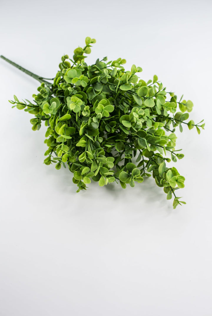 Eucalyptus bush - green - Greenery Market84816 - GN