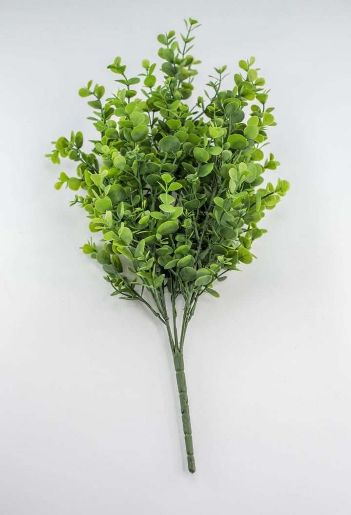 Eucalyptus bush - green - Greenery Market84816 - GN