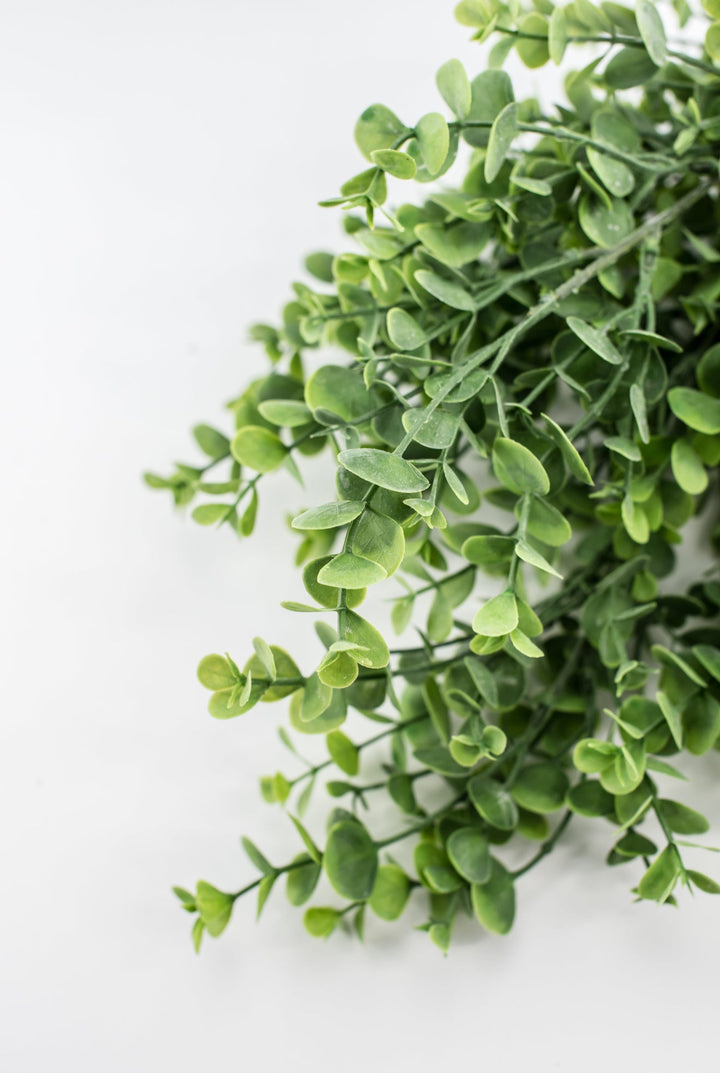 Eucalyptus bush - light green - Greenery Market84816 - FROSTED