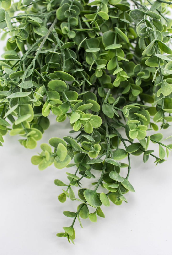 Eucalyptus bush - light green - Greenery Market84816 - FROSTED