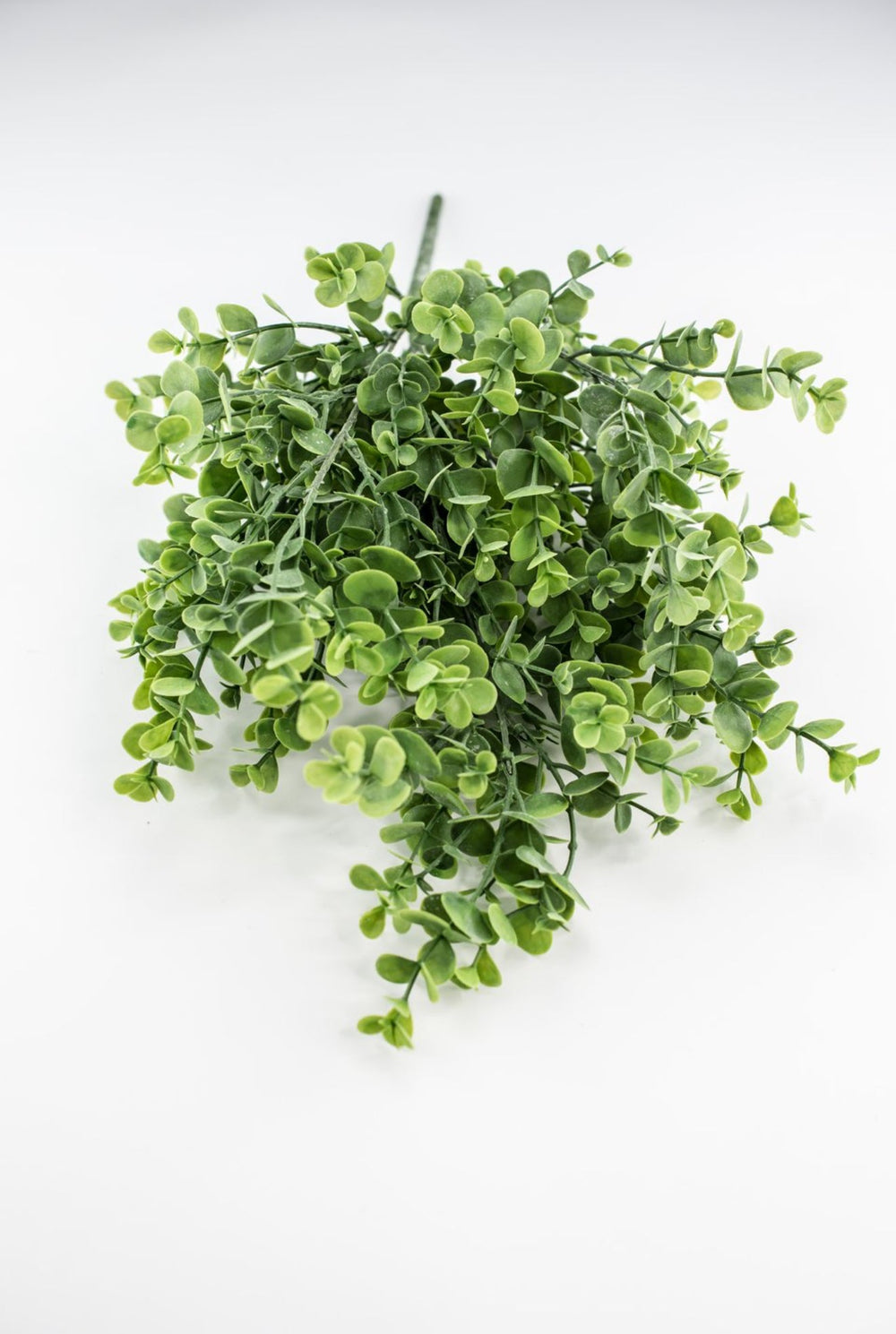 Eucalyptus bush - light green - Greenery Market84816 - FROSTED