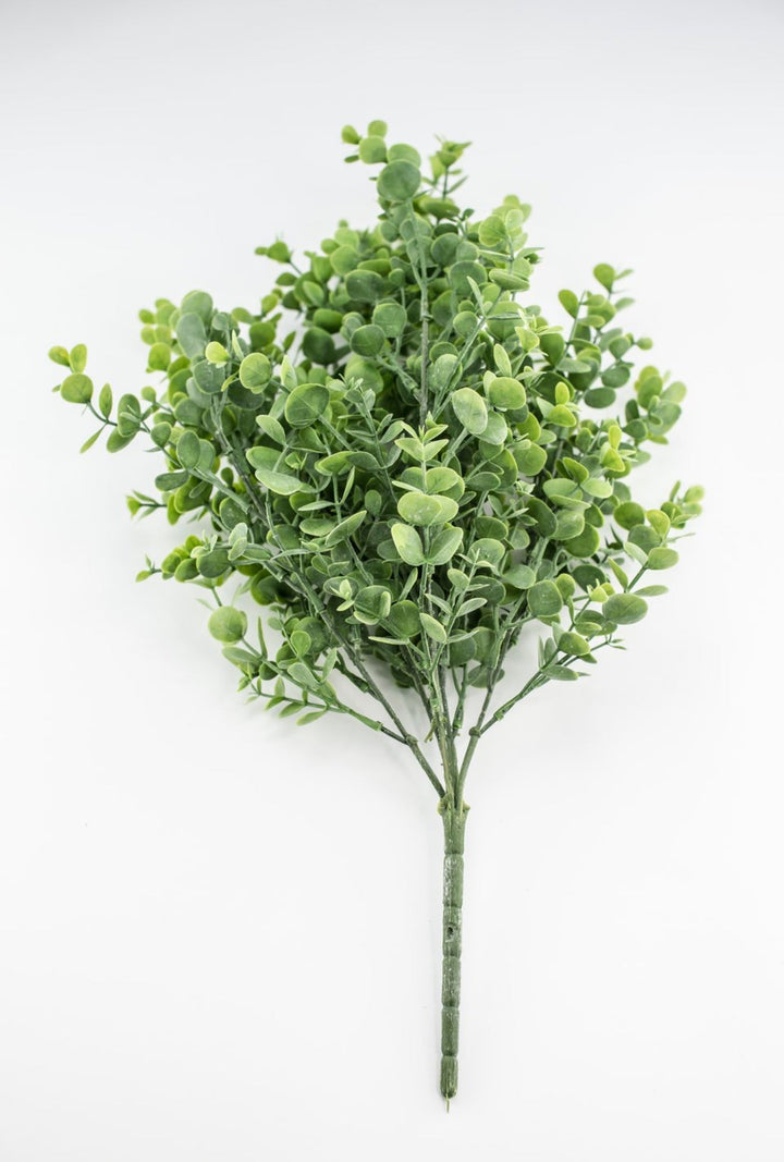 Eucalyptus bush - light green - Greenery Market84816 - FROSTED