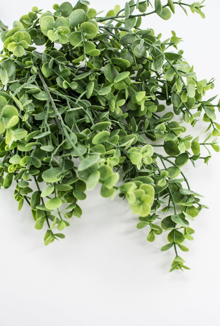 Eucalyptus bush - light green - Greenery Market84816 - FROSTED