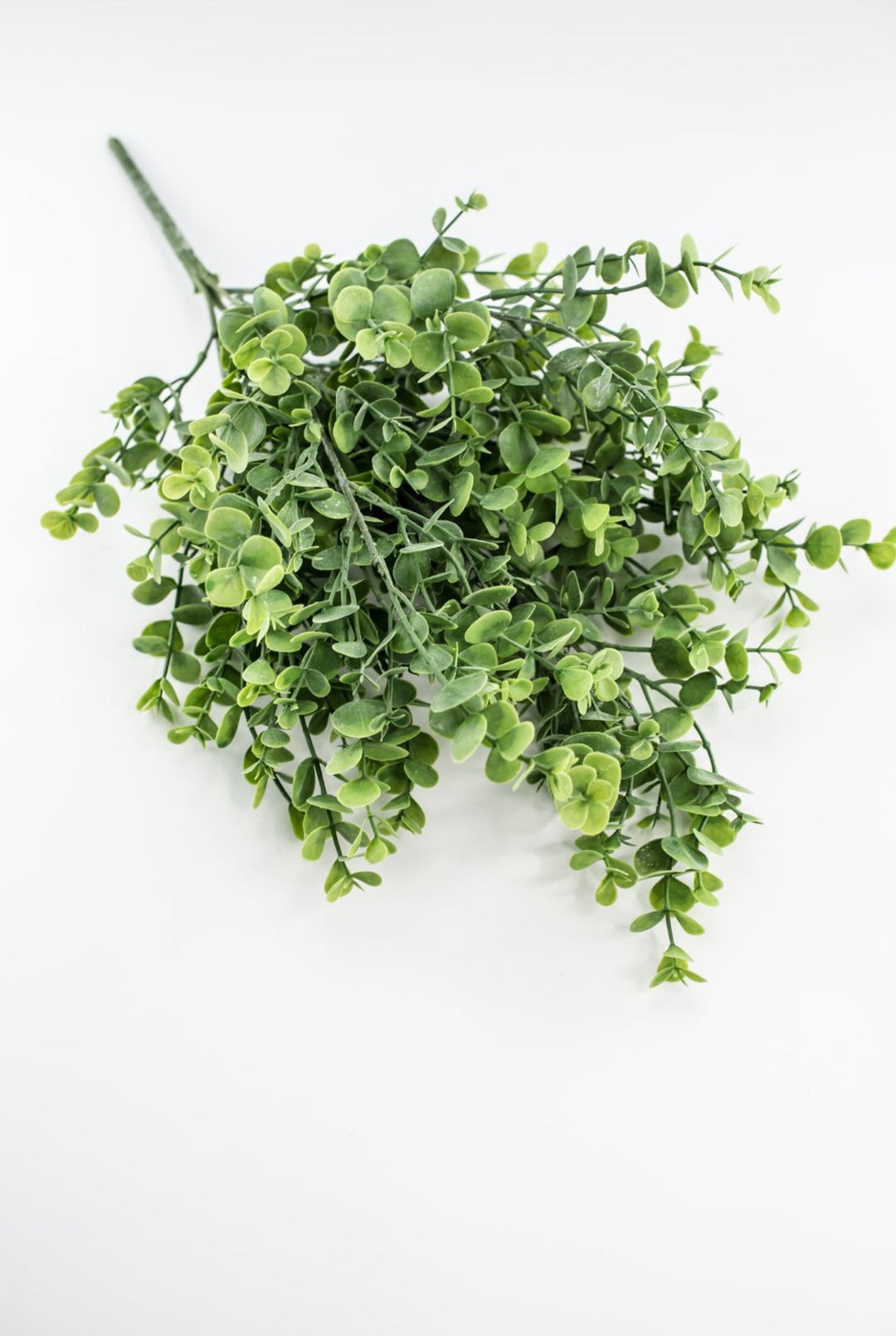 Eucalyptus bush - light green - Greenery Market84816 - FROSTED